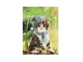 Картина по номерам арт. RAS20974 Котенок в шапке 20*30 в кор. Картина по номерам арт. RAS20974 Котенок в шапке 20*30 в кор.